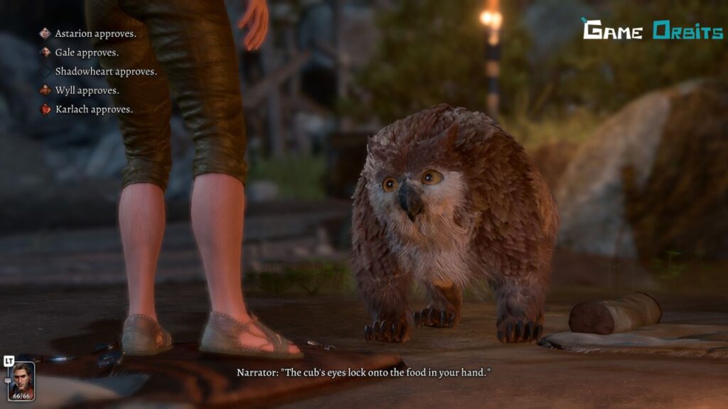 owlbear cub